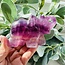 Pink Fluorite Elephants - 3.5" Long Specimen Carving Figurine