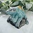 Amazonite Iguana Carving - 4" Specimen Figurine