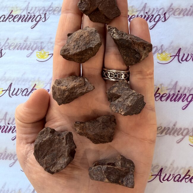 Northwest Stony Iron Meteorite - Rough Raw Natural