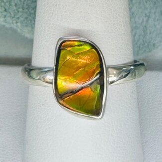 Ammolite Rings - Size 11 Wave Bezel Set - Sterling Silver