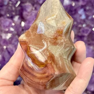 Petrified Wood Flame Polished Twist Point - 4"