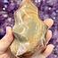 Petrified Wood Flame Polished Twist Point - 4"