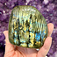 Labradorite Standing Free Form Polished #7 - 3" x 3" High Flash