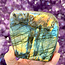 Labradorite Standing Free Form Polished #3 - 3.5" x 3.25" High Flash