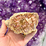 Petrified Wood Slab Slice Flat Log - 3 x 2.25" Brown Cream Beige Pink - Rough Raw Natural Polished - Specimen Display Stand