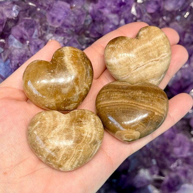 Aragonite Puffy Hearts - Brown Medium 1.5 - 2"