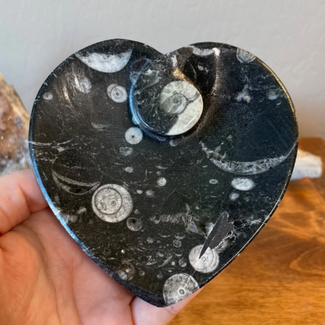 Orthoceras (Kuber Stone) Heart Bowl Dish - Fossil 4"