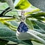 Tanzanite Pendants - Rough Raw Natural Bezel Set - Sterling Silver