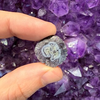 Solar Quartz Stalactite Slice