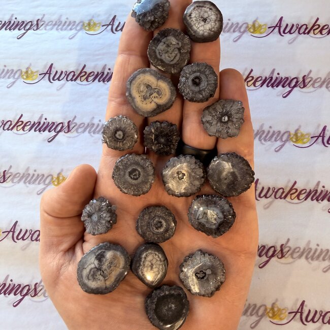 Solar Quartz Stalactite Slice