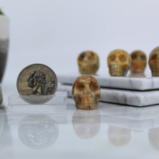 Crazy Lace Agate Skulls - Mini