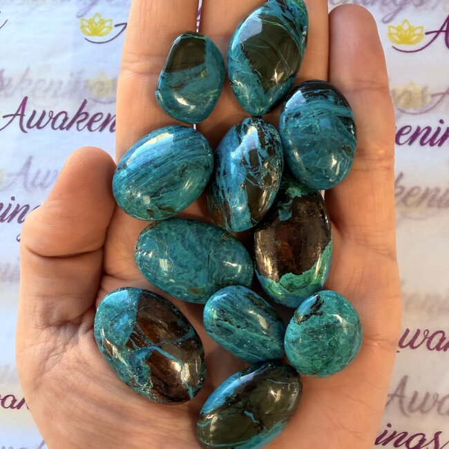 Chilean Blue Opal (AAA Grade) - Palm Pillow Pocket Stones - Small