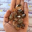 Himalayan Quartz & Gold (Golden Rutile Angel Venus Hair) Rutilated Quartz - Tumbled
