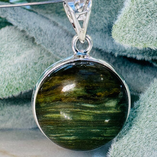 Swamp Bogwood (Larsonite) Pendants - Round Circle Bezel Set - Sterling Silver