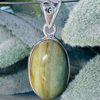 Swamp Bogwood (Larsonite) Pendants - Oval Bezel Set - Sterling Silver