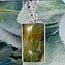 Swamp Bogwood (Larsonite) Pendants - Rectangle Bezel Set - Sterling Silver