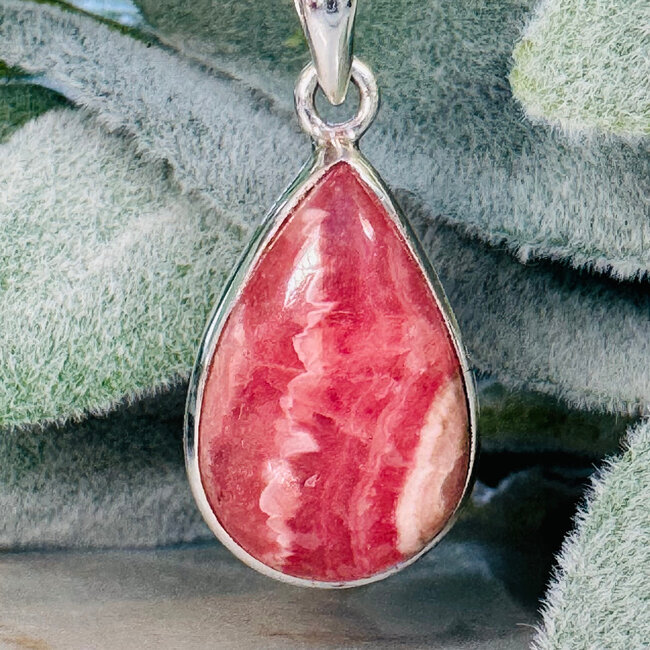 Rhodochrosite Pendants - Teardrop Pear Bezel Set - Sterling Silver