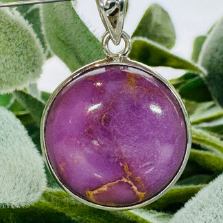 Phosphosidierite Pendants - Circle Round Bezel Set - Sterling Silver