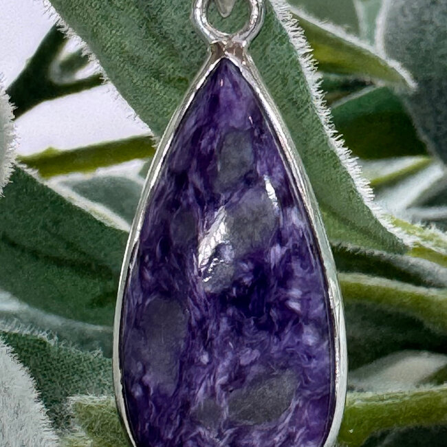 Charoite Pendants - Teardrop Pear Bezel Set - Sterling Silver