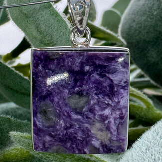 Charoite Pendants - Square Bezel Set - Sterling Silver
