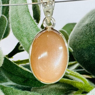 Peach Moonstone Pendants - Oval Bezel Set - Sterling Silver