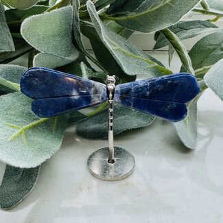 Sodalite Dragonfly Dragonflies on Silver Pin Stand - Medium 3"