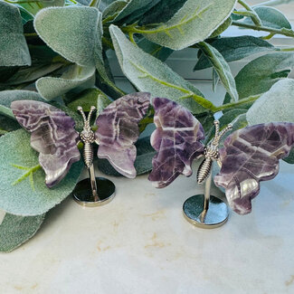 Chevron Amethyst Butterfly Butterflies on Silver Pin Stand - Medium 3"