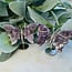 Chevron Amethyst Butterfly Butterflies on Silver Pin Stand - Medium 3"