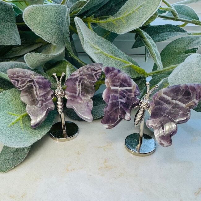 Chevron Amethyst Butterfly Butterflies on Silver Pin Stand - Medium 3"