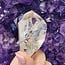 Pakimer Diamond Enhydro Elestial (Skeletal Window Jacare Alligator) Clear Crystal Quartz - Large - Rough Raw Natural