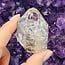 Pakimer Diamond Enhydro Elestial (Skeletal Window Jacare Alligator) Clear Crystal Quartz - Large - Rough Raw Natural