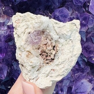 Vera Cruz Amethyst in Geode-Rough Raw Natural