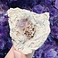 Vera Cruz Amethyst in Geode-Rough Raw Natural