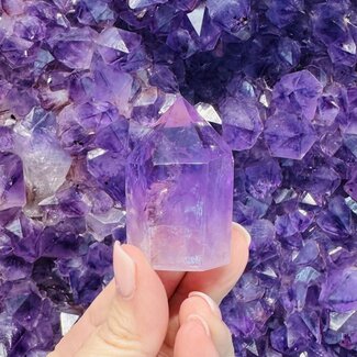 Ametrine Tower Point Generator- Medium (2-3")  (Amethyst & Citrine)