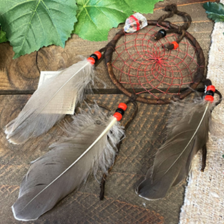 Navajo Crystal Dream Catcher 4" -Red