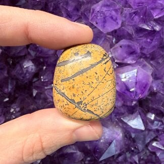 Nature's Paint Brush Jasper - Tumbled