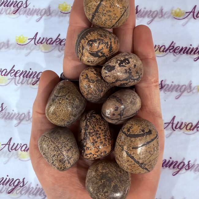 Nature's Paint Brush Jasper - Tumbled