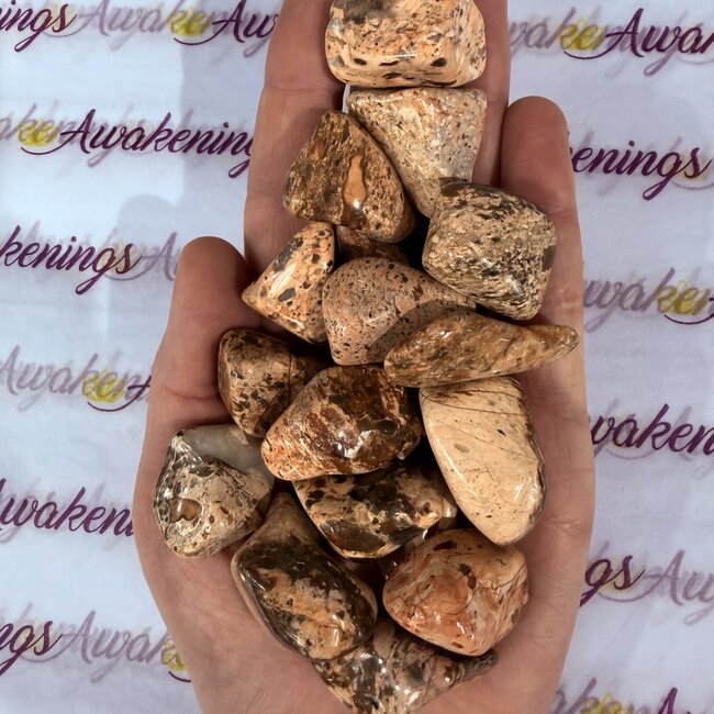 White Brecciated Jasper - Tumbled