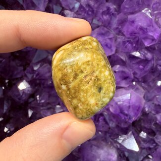 Snowflake Epidote - Tumbled