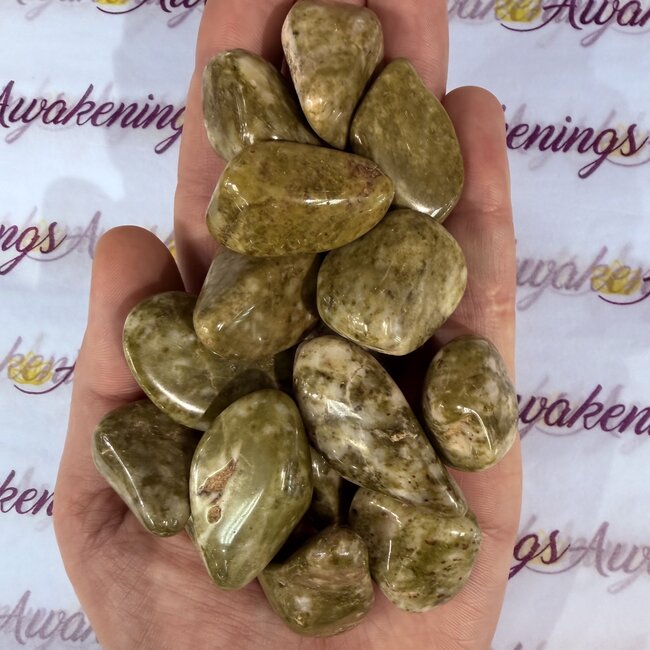 Snowflake Epidote - Tumbled