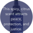 Archangel Michael Spray - 2 oz High Vibration Protective