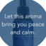 Nag Champa Spray - 2 oz Clear Purification Room Mist