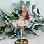 Flower (Cherry Blossom) Agate Crescent Moon on Gold Stand Pin - 6" Specimen