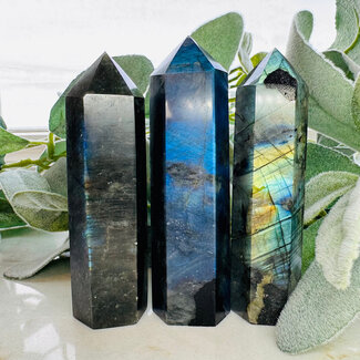 Labradorite Towers Points Generators - Large (3-5")