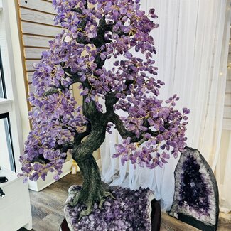 Amethyst Bonsai Tree Specimen - XXL Jumbo