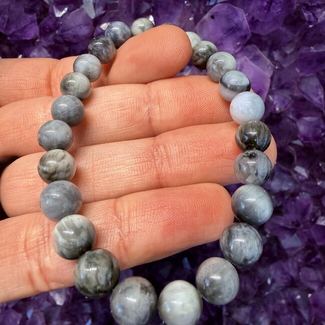 Eagle Eye Jasper Bracelets - 8mm
