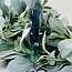 Rainbow Fluorite Septer Scepter Wand on Silver Stand Pin - Medium
