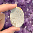 Fossil Coral Worry (Thumb Fidget Relaxation Pocket)  Stones - Medium Oval