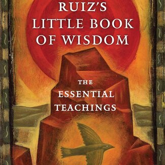 Don Miguel Ruiz's Little Book of Wisdom