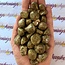 Heena Jasper - Tumbled